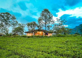 Viriparai Tea Bungalow Munnar by VOYE HOMES